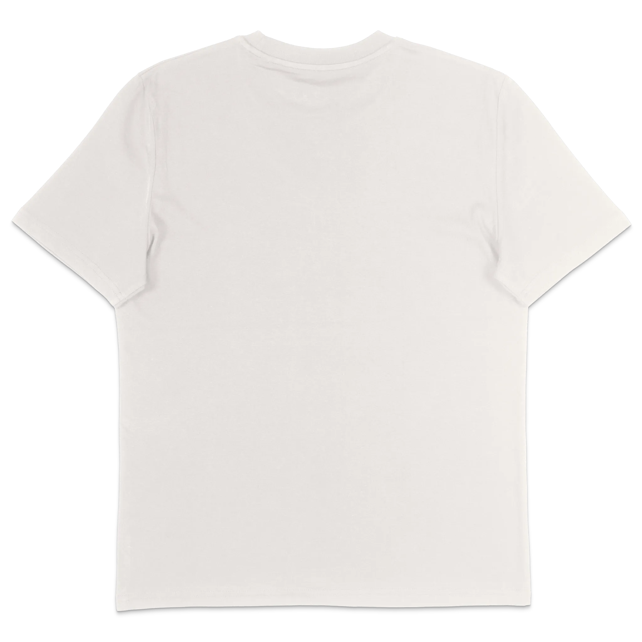 DSKY Essential Tee - Regular